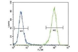 FLT3 antibody flow cytometric analysis of 293 cells (right histogram) compared to a negative control (left histogram). (FLT3 antibody  (AA 33-64))