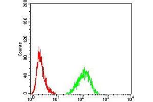 Flow cytometric analysis of Hela cells using LMNB2 mouse mAb (green) and negative control (red). (Lamin B2 antibody  (AA 401-600))