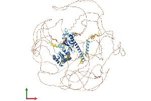 AlphaFold protein structure predicition of Human Recombinant RSF1 Protein, UniprotID Q96T23 (RSF1 Protein (AA 1-1441) (His tag))