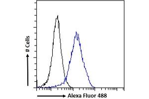 (ABIN185219) Flow cytometric analysis of paraformaldehyde fixed A431 cells (blue line), permeabilized with 0. (ACTR1A antibody  (C-Term))