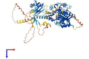 ZMYND15 Protein (AA 1-742) (His tag)