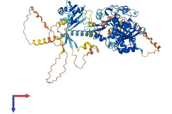ZMYND15 Protein (AA 1-742) (His tag)