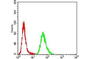 Flow cytometric analysis of Hela cells using ACVR1 mouse mAb (green) and negative control (red). (ACVR1 antibody  (AA 21-120))