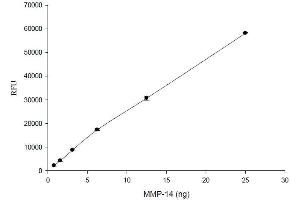 ELISA image for SensoLyte® 520 MMP-14 Assay Kit (ABIN1882505) (SensoLyte® 520 MMP-14 Assay Kit)