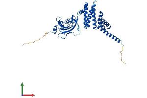 AlphaFold protein structure predicition of Mouse Recombinant Fkbp6 Protein, UniprotID Q91XW8 (FKBP6 Protein (AA 1-327) (His tag))