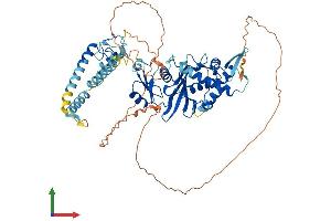 AlphaFold protein structure predicition of Mouse Recombinant Kat7 Protein, UniprotID Q5SVQ0 (MYST2 Protein (AA 1-613) (His tag))