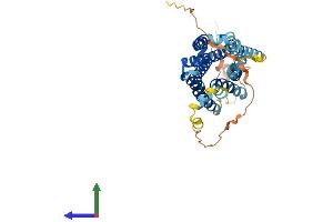 AlphaFold protein structure predicition of Mouse Recombinant Kiss1r Protein, UniprotID Q91V45