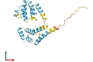 Protein Structure (PS) image for Fas (TNFRSF6)-Associated Via Death Domain (FADD) (AA 1-205) protein (His tag) (ABIN7557674)