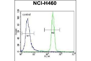 Flow cytometric analysis of NCI-H460 cells (right histogram) compared to a negative control cell (left histogram). (IL-6 antibody  (AA 27-55))