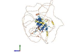 AlphaFold protein structure predicition of Human Recombinant ARHGAP6 Protein, UniprotID O43182