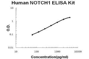 Human NOTCH1 PicoKine ELISA Kit standard curve (Notch1 ELISA Kit)