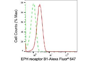 Flow cytometric analysis of EPH receptor B1 expression in HT- cells using EPH receptor B1 antibody (ABIN7798455), 1:2,000). (Recombinant EPH Receptor B1 antibody)