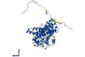 AlphaFold protein structure predicition of Mouse Recombinant Tdo2 Protein, UniprotID P48776 (TDO2 Protein (AA 1-406) (His tag))