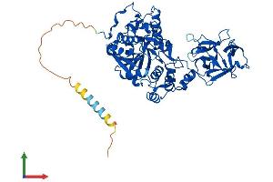 AlphaFold protein structure predicition of Mouse Recombinant Galnt4 Protein, UniprotID O08832 (GALNT4 Protein (AA 1-578) (His tag))