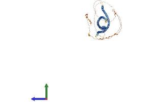 AlphaFold protein structure predicition of Human Recombinant CTAGE9 Protein, UniprotID A4FU28 (CTAGE9 Protein (AA 1-777) (His tag))