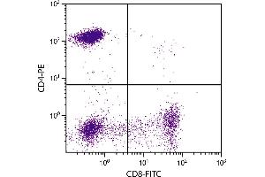 Human peripheral blood lymphocytes were stained with Mouse Anti-Human CD4-PE. (CD4 antibody  (PE))