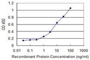 Detection limit for recombinant GST tagged CHRNE is 0. (CHRNE antibody  (AA 21-130))