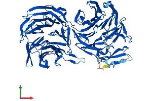 Protein Structure (PS) image for Echinoderm Microtubule Associated Protein Like 2 (EML2) (AA 1-649) protein (His tag) (ABIN7547349)
