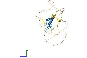 AlphaFold protein structure predicition of Mouse Recombinant Bhlhe40 Protein, UniprotID O35185