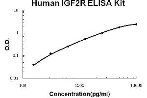 ELISA image for Insulin-Like Growth Factor 2 Receptor (IGF2R) ELISA Kit (ABIN2859333)