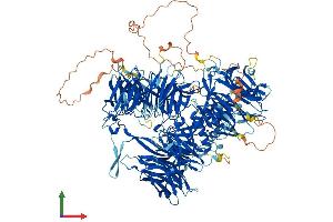 AlphaFold protein structure predicition of Human Recombinant CPSF1 Protein, UniprotID Q10570 (CPSF1 Protein (AA 1-1443) (His tag))