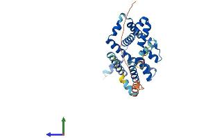 AlphaFold protein structure predicition of Mouse Recombinant Tmem38b Protein, UniprotID Q9DAV9