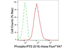 Flow cytometric analysis of Phospho-PTS (S19) expression in HepG2 cells using Phospho-PTS (S19) antibody (ABIN7797432), 1:2,000). (Recombinant PTS antibody  (pSer19))
