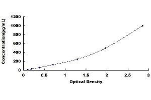 Typical standard curve
