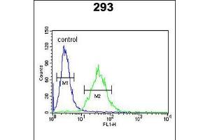 Flow cytometric analysis of 293 cells (right histogram) compared to a negative control cell (left histogram). (CEBPB antibody  (C-Term))