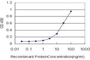 ELISA image for anti-Tumor Protein P53 (TP53) (AA 94-201) antibody (ABIN563227)