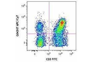 Flow Cytometry (FACS) image for anti-Chemokine (C-C Motif) Receptor 7 (CCR7) antibody (APC-Cy7) (ABIN2660562) (CCR7 antibody  (APC-Cy7))