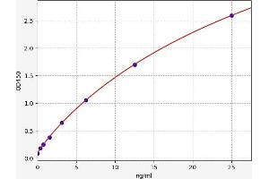 SERPINB2 ELISA Kit