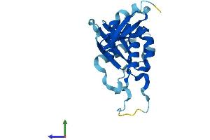 Protein Structure (PS) image for Ribosomal Protein S7 (RPS7) (AA 1-194) protein (His tag) (ABIN7556599)