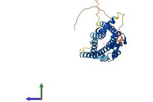 Protein Structure (PS) image for Somatostatin Receptor 5 (SSTR5) (AA 1-362) protein (His tag) (ABIN7562216)