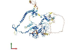 AlphaFold protein structure predicition of Human Recombinant EZH2 Protein, UniprotID Q15910 (EZH2 Protein (AA 1-746) (His tag))