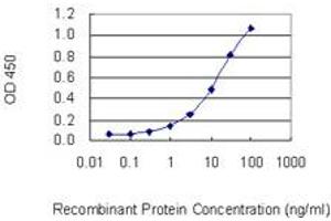 Detection limit for recombinant GST tagged PPP3CC is 0. (PPP3CC antibody  (AA 1-81))