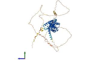 AlphaFold protein structure predicition of Human Recombinant CACNB1 Protein, UniprotID Q02641 (CACNB1 Protein (AA 1-598) (His tag))