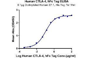 ELISA image for Cytotoxic T-Lymphocyte-Associated Protein 4 (CTLA4) (AA 36-161) protein (Fc Tag) (ABIN7274436)