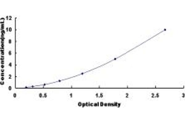 MPST ELISA Kit