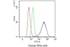 Flow cytometry testing of human SiHa cells with Mesothelin antibody at 1ug/10^6 cells (blocked with goat sera)