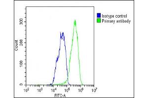 Overlay histogram showing HepG2 cells stained with (ABIN1538142 and ABIN2848639)(green line).