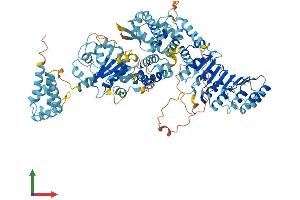 AlphaFold protein structure predicition of Mouse Recombinant Nlrp6 Protein, UniprotID Q91WS2 (NLRP6 Protein (AA 1-869) (His tag))