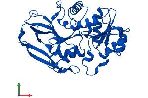 Protein Structure (PS) image for Prostaglandin Reductase 1 (PTGR1) (AA 1-329) protein (His tag) (ABIN7551097)