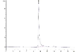 The purity of Human S100A8 is greater than 95 % as determined by SEC-HPLC. (S100A8 Protein (AA 1-93) (His tag))