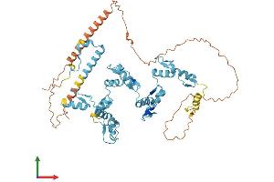 Protein Structure (PS) image for Zinc Finger Protein 765 (ZNF765) (AA 1-523) protein (His tag) (ABIN7545398)