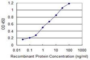 Detection limit for recombinant GST tagged ATP2A1 is 0. (ATP2A1/SERCA1 antibody  (AA 522-612))