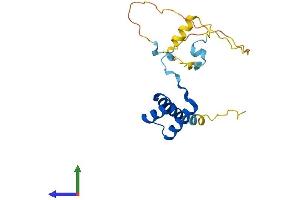 AlphaFold protein structure predicition of Mouse Recombinant Hesx1 Protein, UniprotID Q61658