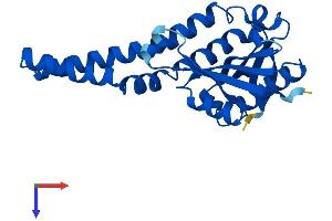 AlphaFold protein structure predicition of Mouse Recombinant Cml1 Protein, UniprotID Q9JIZ0 (Camello-Like 1 (CML1) (AA 1-222) protein (His tag))