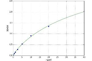 Haemoglobin (F-Hb) ELISA Kit