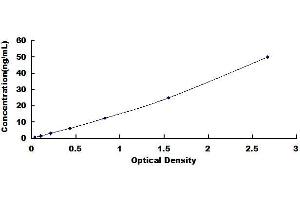 Typical standard curve (CYP2E1 ELISA Kit)